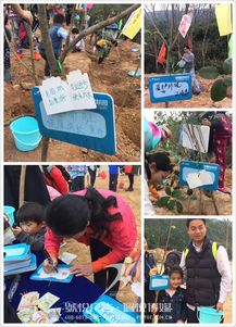 碧桂園植樹節 佩悅傳媒以專業公關策劃，賦能綠色品牌行動